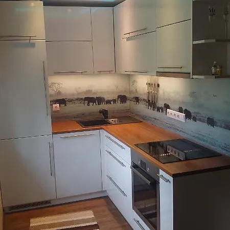 Apartment Torni